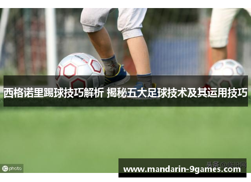 西格诺里踢球技巧解析 揭秘五大足球技术及其运用技巧