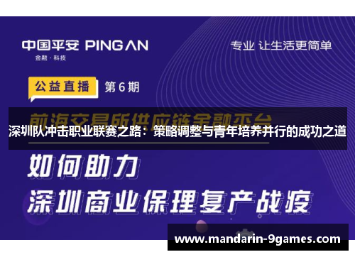 深圳队冲击职业联赛之路：策略调整与青年培养并行的成功之道