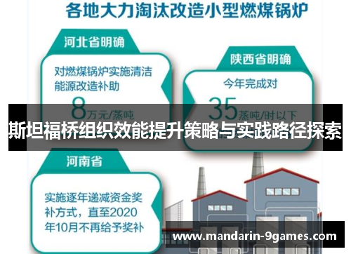 斯坦福桥组织效能提升策略与实践路径探索